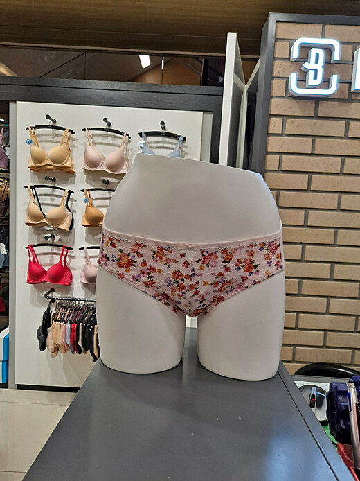 이미지설명
