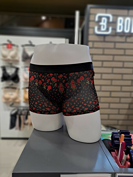 이미지설명