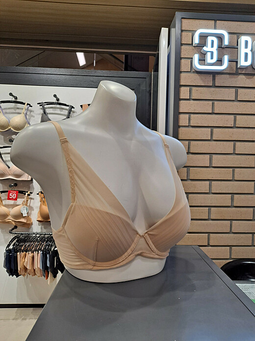 이미지설명