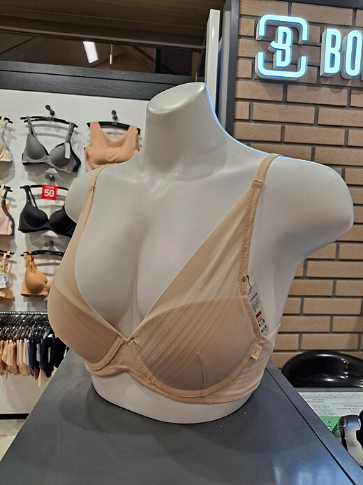 이미지설명
