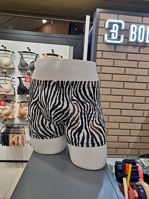 이미지설명