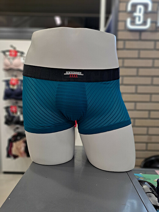 이미지설명