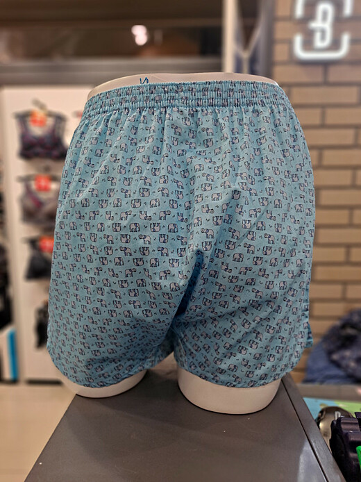 이미지설명