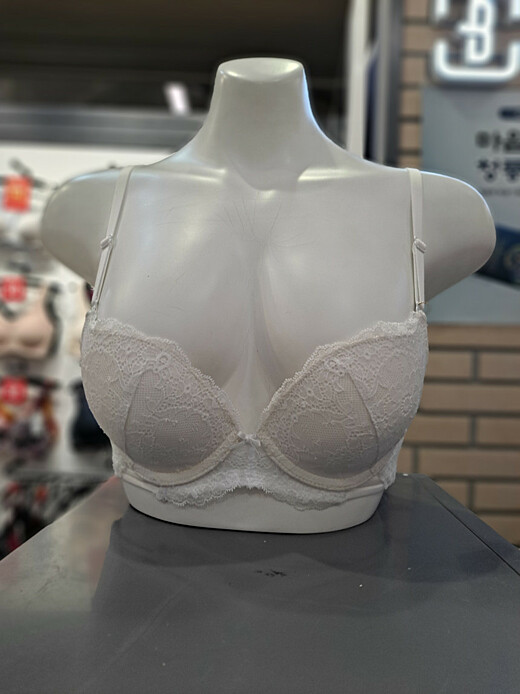 이미지설명