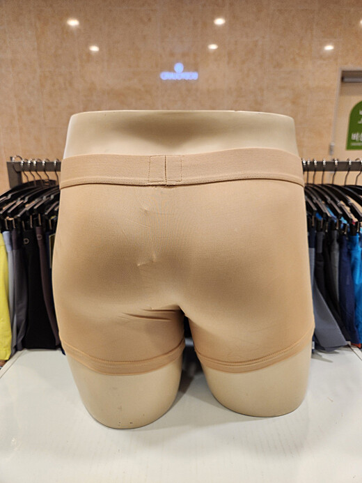 이미지설명