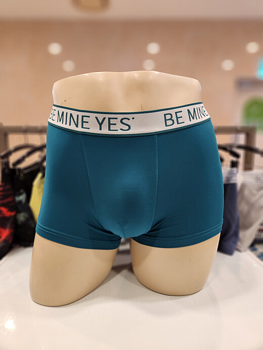 이미지설명