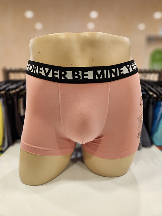 이미지설명