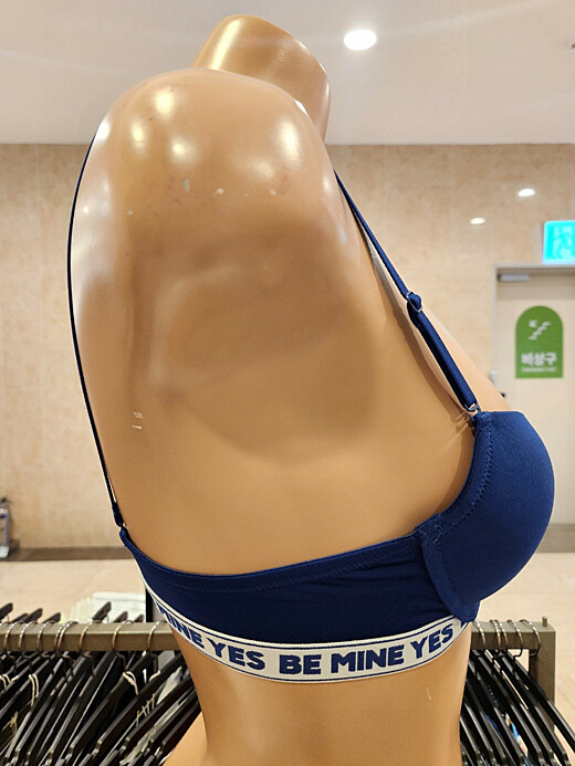 이미지설명