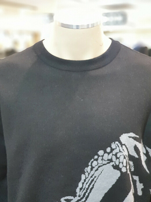 이미지설명