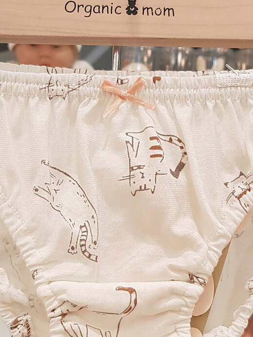 이미지설명