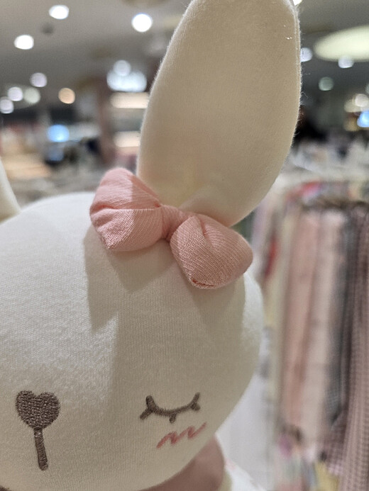 이미지설명