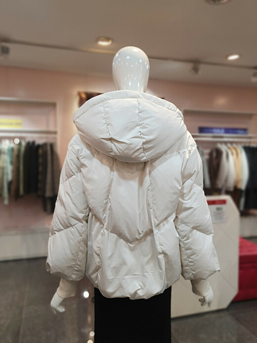 이미지설명
