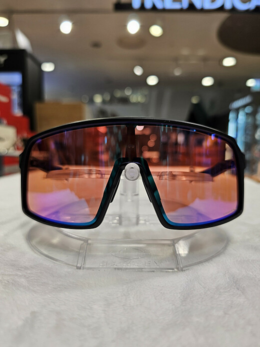이미지설명