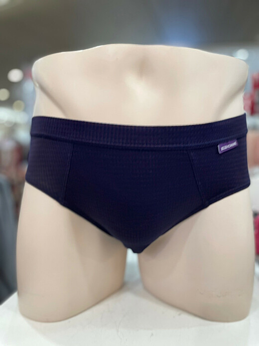 이미지설명
