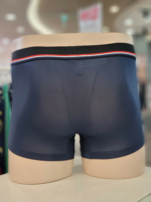이미지설명