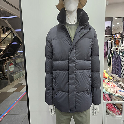 이미지설명