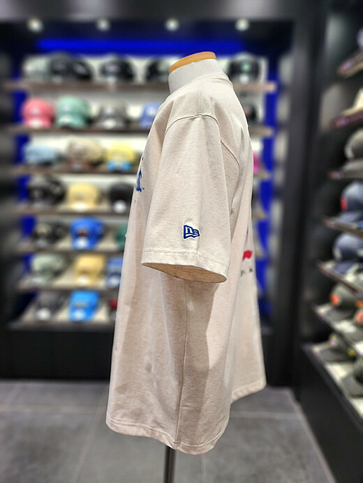 이미지설명