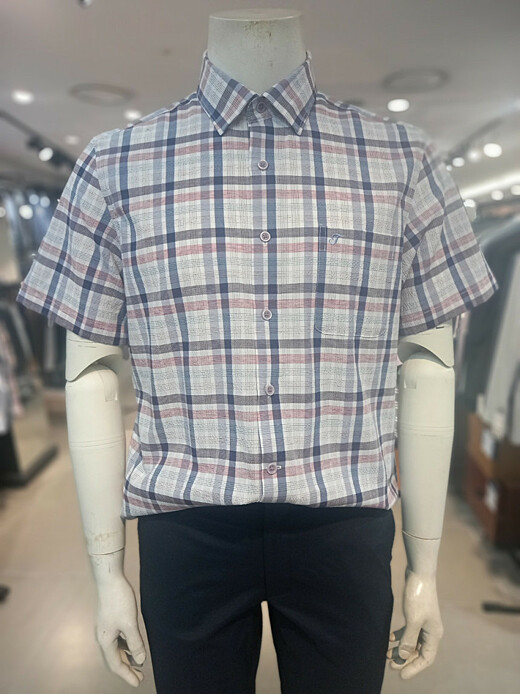 이미지설명