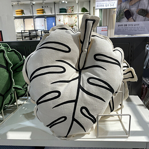 이미지설명