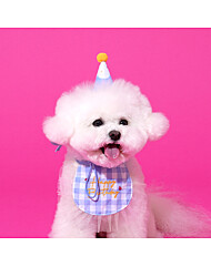 모던하우스 펫본 해피파티 생일 턱받이모자세트 블루 PT0624003