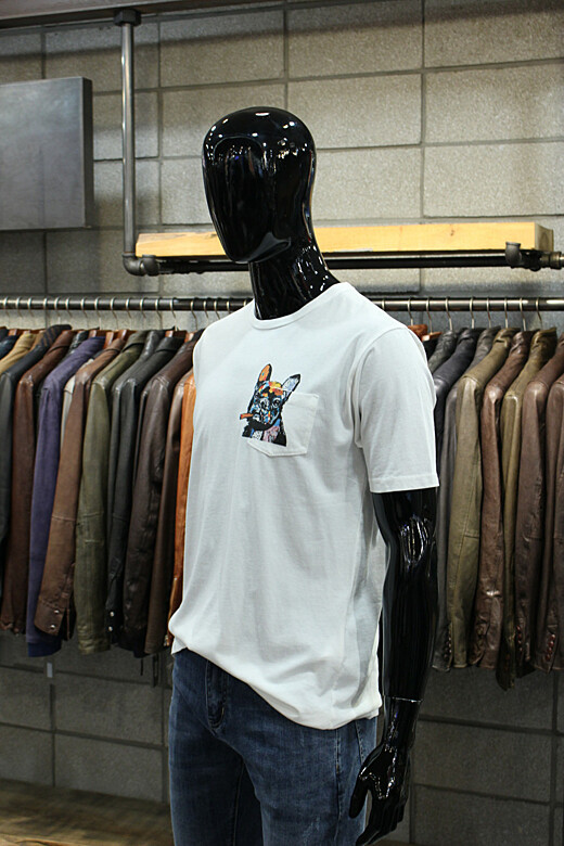 이미지설명