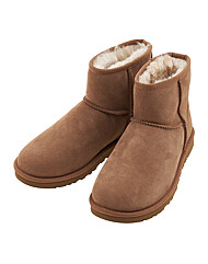 (어그) 1002072 CHESTNUT 클래식 미니 부츠