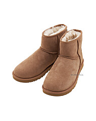 (어그) 1002072 CHESTNUT FW24 남성 클래식 미니 부츠