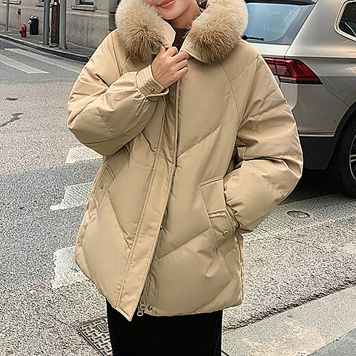 이미지설명