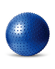 스타스포츠 마사지 짐볼 블루 마사지 짐볼 블루