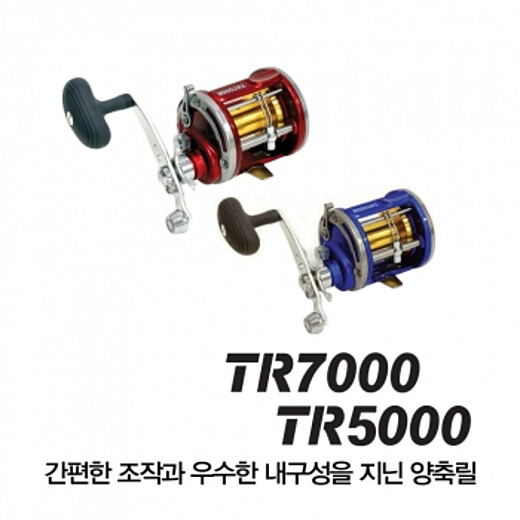 이미지설명