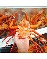 [프레쉬푸드] 프리미엄 국내산 동해 자숙 홍게 3kg / 7~8마리