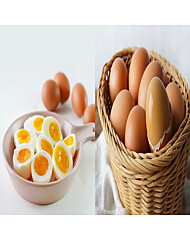 HACCP[해썹]인증 대란 구운란 20구 + 염지 반숙란 20구