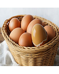 HACCP[해썹]인증 구운란 구운계란 맥반석계란 대란 90구