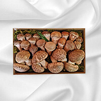 국내산 명품 참송이버섯 추석 명절 선물세트 2호 1kg