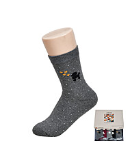 귀여운 푸들 그래픽 숙녀 패션 중목 양말0044fd