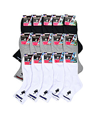 비버리힐스 폴로클럽 신사 파일 단목 양말0137so