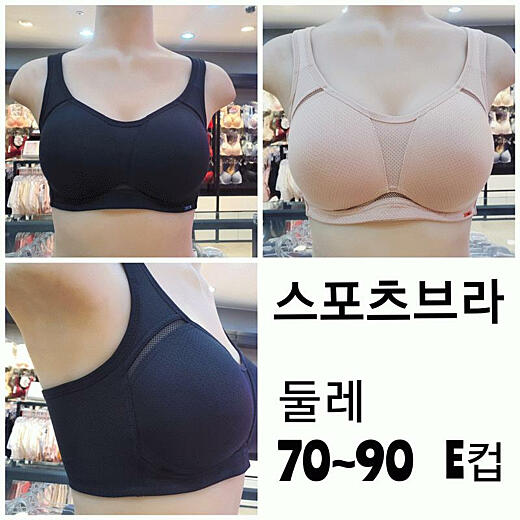 이미지설명