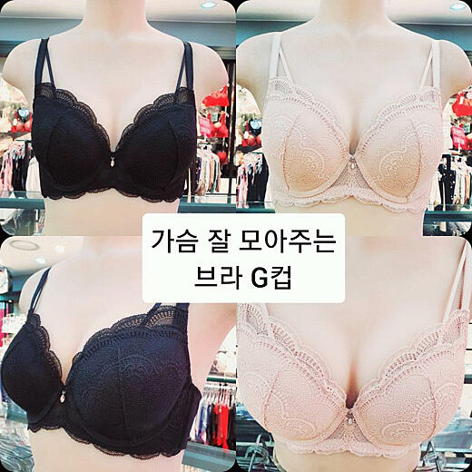 이미지설명