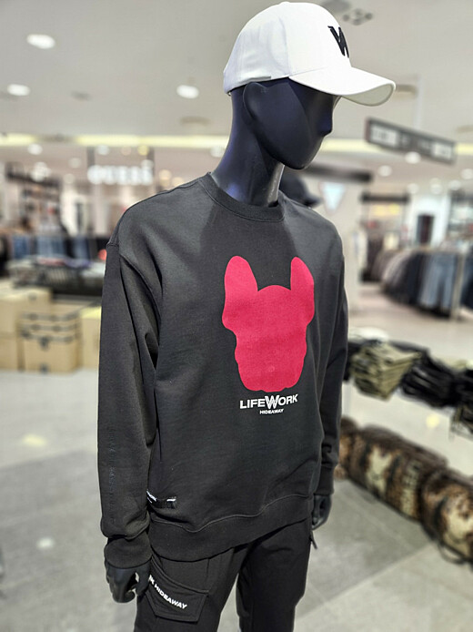 이미지설명