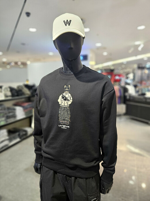 이미지설명