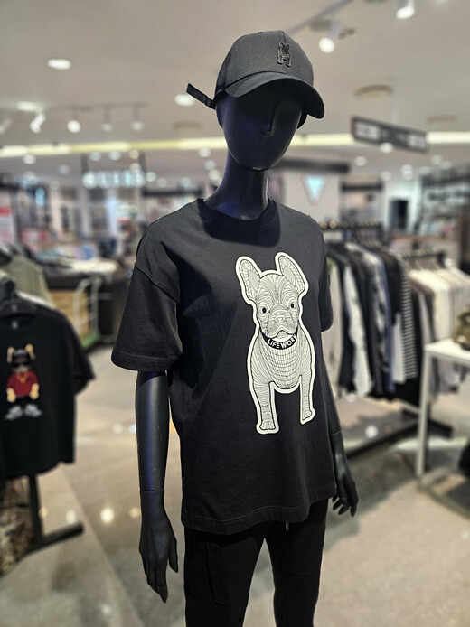 이미지설명