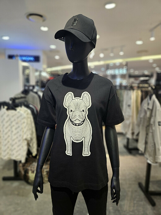 이미지설명