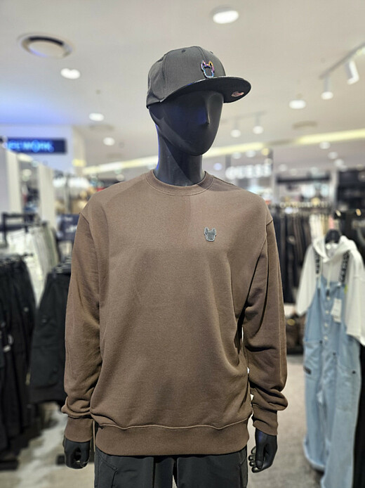 이미지설명
