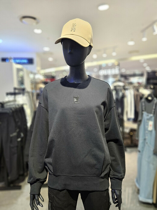 이미지설명
