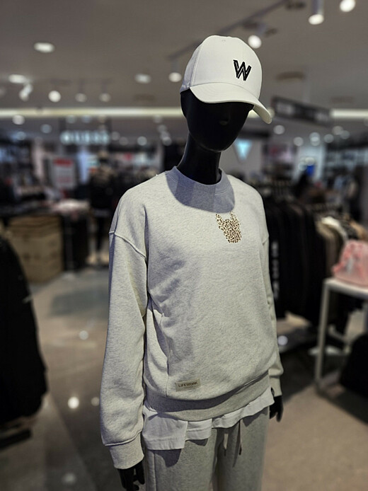 이미지설명