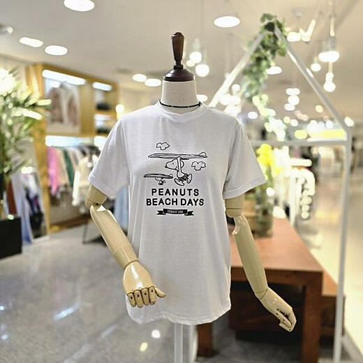 이미지설명