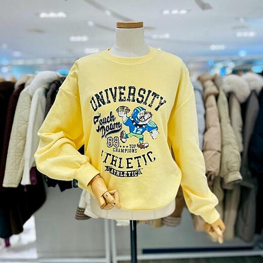 이미지설명