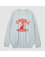 [럭스덕/국내당일] 와일드동키 25FW CORNELL 맨투맨 헤더그레이