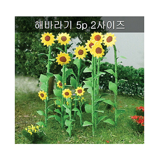 이미지설명
