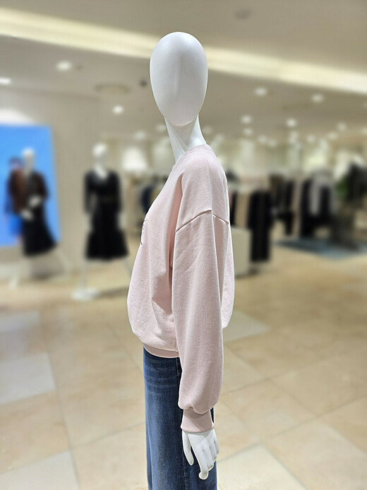 이미지설명